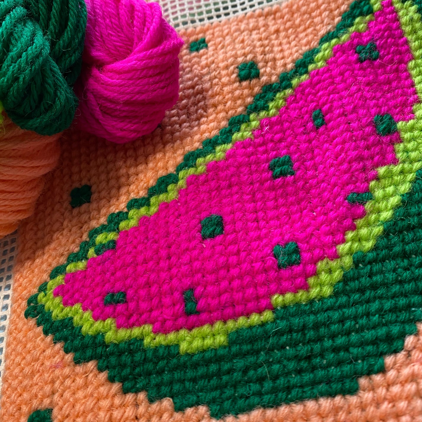 Watermelon Mini Stitch Kit - The Argentum Design Co